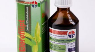 Картинка по теме - как разбавлять хлорофиллипт