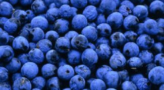 Картинка по теме - как приготовить вкусное варенье из терна