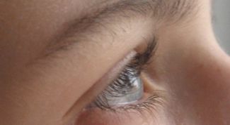 Картинка по теме - для чего нужны ресницы