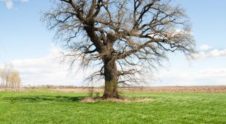 Картинка по теме - как определить категорию земли