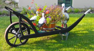 Картинка по теме - как избавиться от пенька