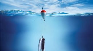 Картинка по теме - как закрепить поплавок