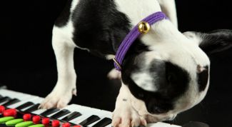 Картинка по теме - как научиться играть на синтезаторе без нот