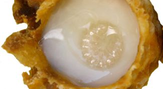 Картинка по теме - как употреблять маточное молочко