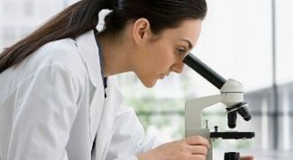 Картинка по теме - как лечить лишай от животных