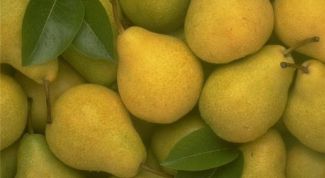 Картинка по теме - как пересадить грушу