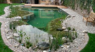 Картинка по теме - как запрудить пруд