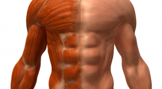 Картинка по теме - как накачать пресс и избавиться от живота