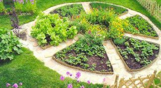 Картинка по теме - как продать часть земли