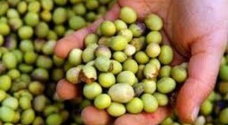 Картинка по теме - как варить сою