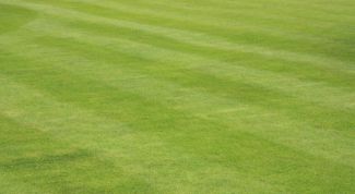 Картинка по теме - как засеять газон