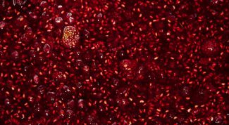 Картинка по теме - как приготовить ароматное варенье из брусники