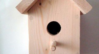 Картинка по теме - как сделать скворечник из картона