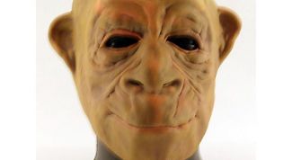 Картинка по теме - как сделать маску обезьяны