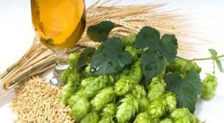 Картинка по теме - как сделать пивные дрожжи