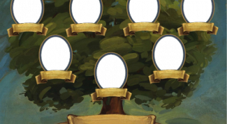 Картинка по теме - как рисовать генеалогическое древо