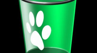 Картинка по теме - как восстановить корзину на компьютере, если удалил