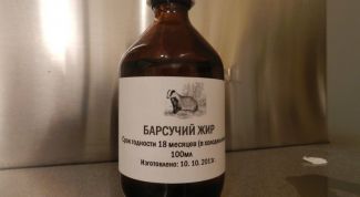 Картинка по теме - как лечить кашель барсучим жиром