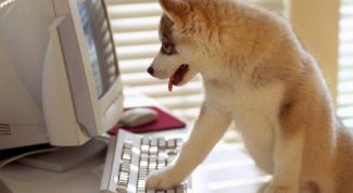 Картинка по теме - как восстановить пароль к почтовому ящику на mail.ru