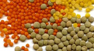 Картинка по теме - как готовить суп из чечевицы