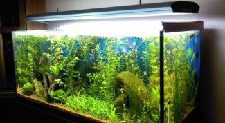 Картинка по теме - как перевести кубические метры в литры