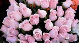 Картинка по теме - как отказаться от приглашения на день рождения