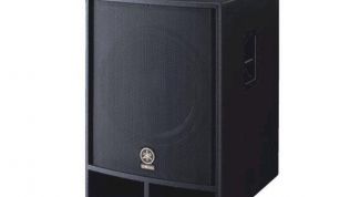 Картинка по теме - как подключить два саба