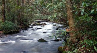 Картинка по теме - как отыскать воду