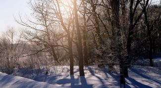 Картинка по теме - как нарисовать картину с зимой