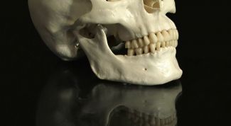 Картинка по теме - как лечить от черепно-мозговой травмы