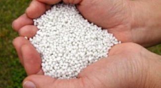 Картинка по теме - для чего нужна селитра