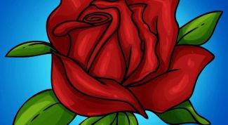 Картинка по теме - как нарисовать розу