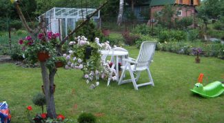 Картинка по теме - как спроектировать дачный участок