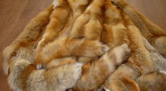 Картинка по теме - как выделать лисью шкуру