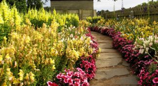 Картинка по теме - как сформировать клумбу