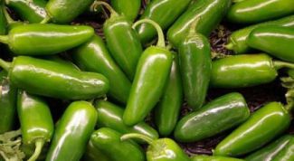 Картинка по теме - как вырастить перец халапеньо