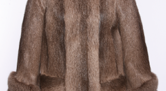 Картинка по теме - как почистить мех нутрии