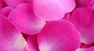 Картинка по теме - как хранить лепестки роз