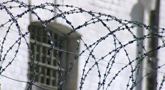 Картинка по теме - как перевестись из колонии на поселение