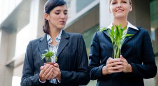 Картинка по теме - как избавить от зависти