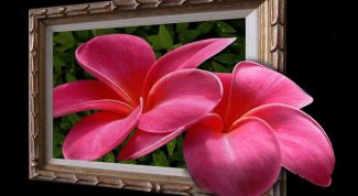 Картинка по теме - как делать рамочки в фотошопе