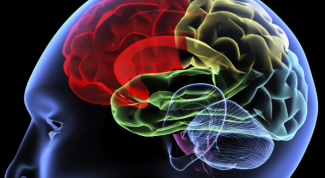 Картинка по теме - для чего нужны знания человеку