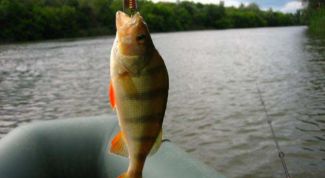 Картинка по теме - как закрепить блесну