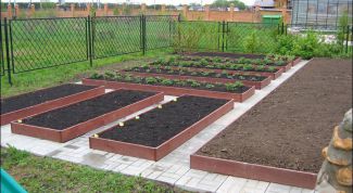 Картинка по теме - как оформить земельный участок, находящийся в аренде, в собственность