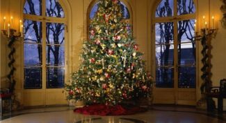 Картинка по теме - как встретить новый год в ульяновске