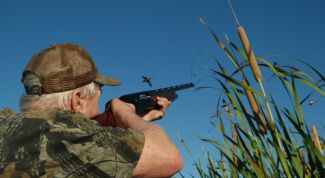 Картинка по теме - как получить государственный охотничий билет