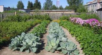 Картинка по теме - как оформить кадастровый паспорт на земельный участок