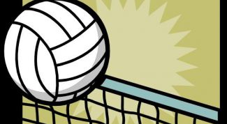 Картинка по теме - как организовать чемпионат по волейболу