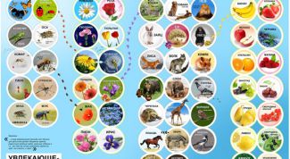 Картинка по теме - как нарисовать детский плакат