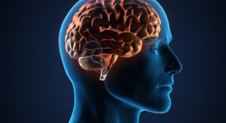 Картинка по теме - как сохранить и улучшить память